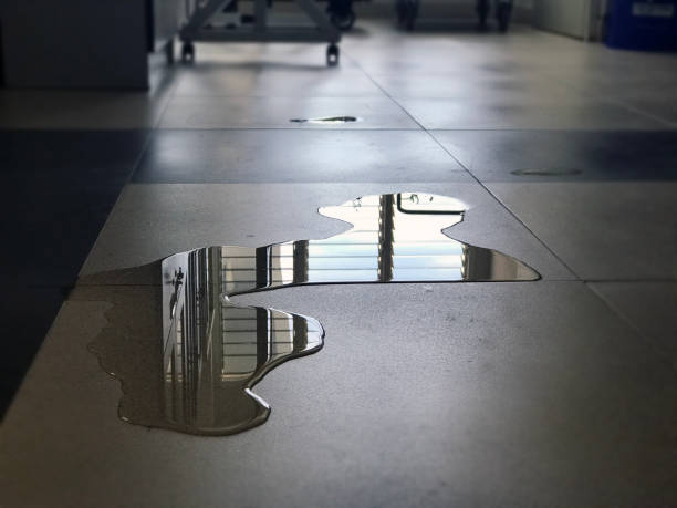 Best 24/7 water damage repair  in Pikeville, TN